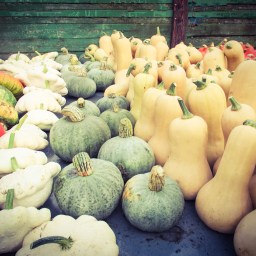 Caramelized Butternut Squash