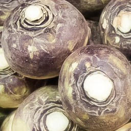 Stinky House Rutabagas