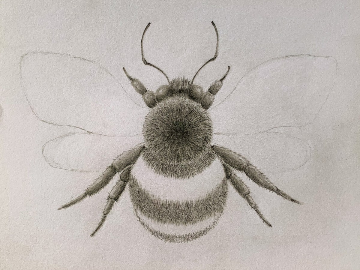 [Private Collection] Melittology