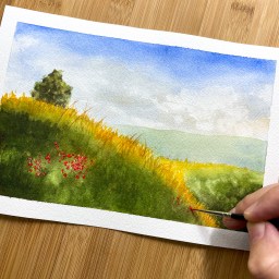 [Available] Poppies in a Field