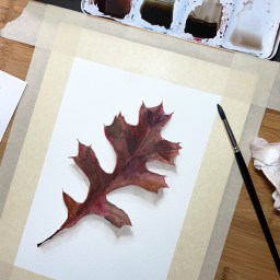 [Private Gallery] Oak Leaf from a Fall Walk