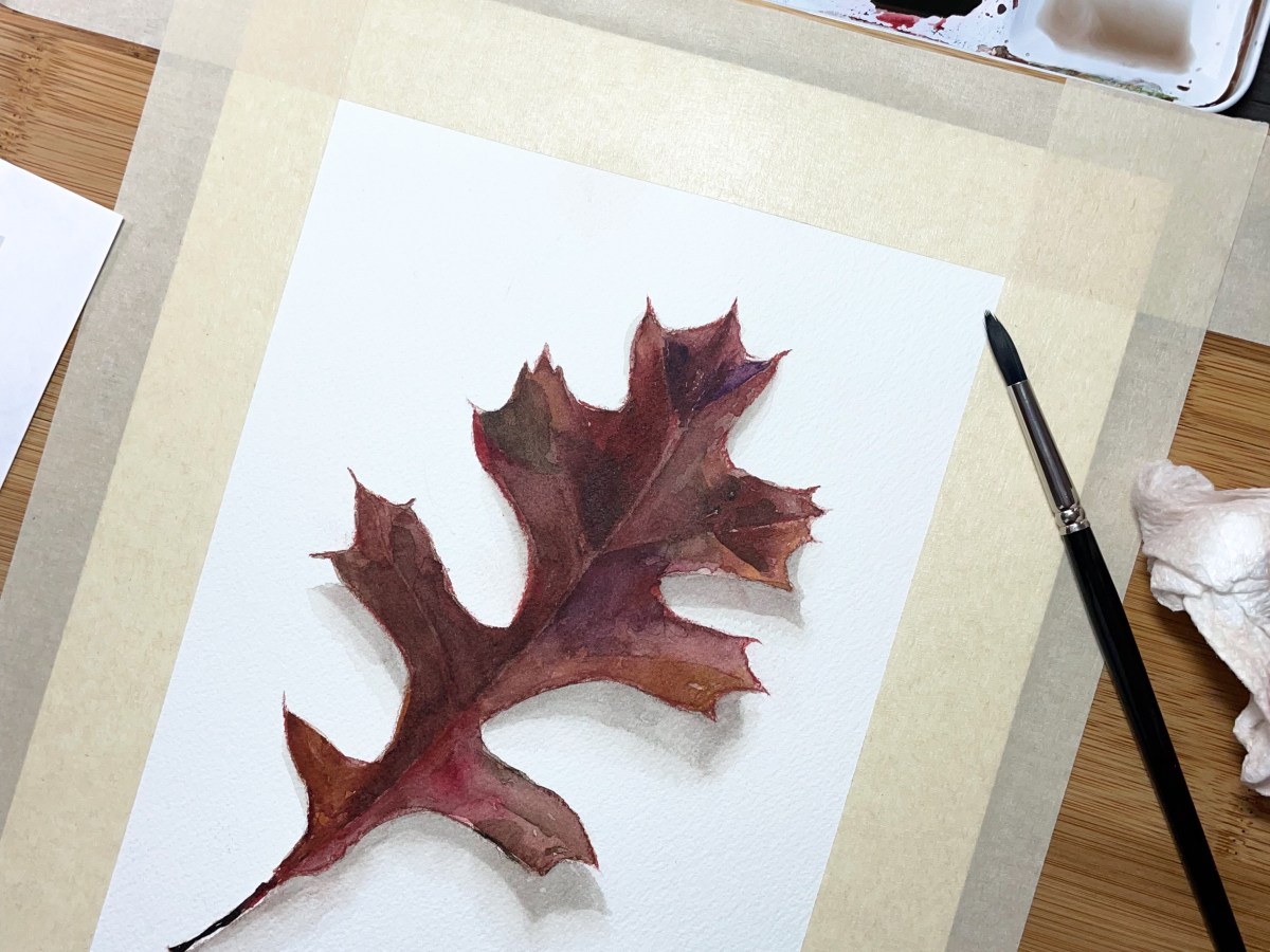 [Private Gallery] Oak Leaf from a Fall Walk