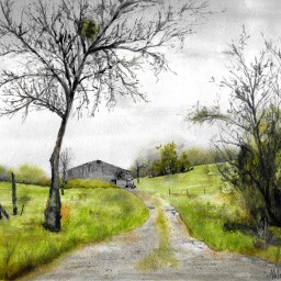 [Available] Liberty Creek Field at a Curve