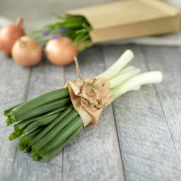 Pasta Carbonara with Leeks & Lemon
